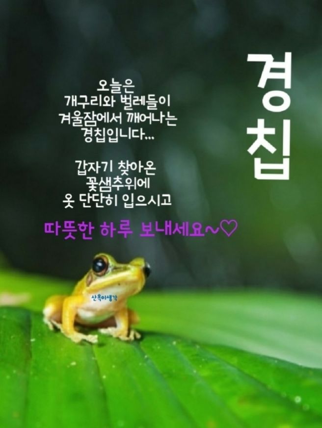호랑이보부상 이미지