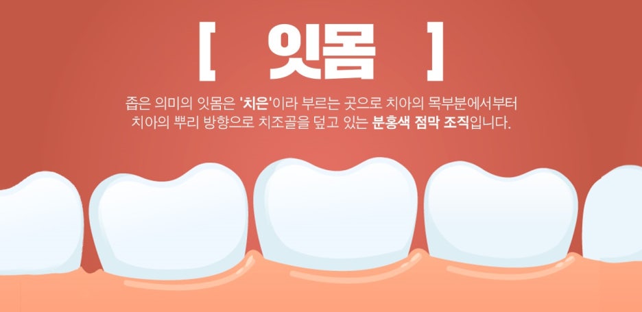 서울하늘치과의원 이미지