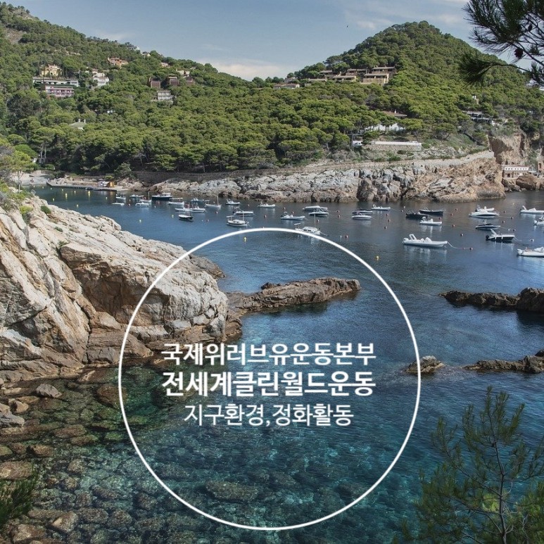 정화다방 이미지