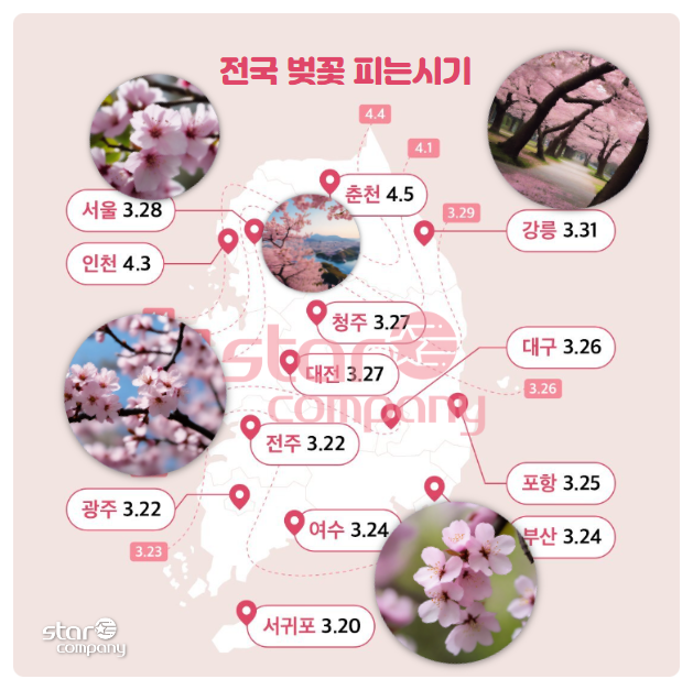 스타컴퍼니소상공인협동조합 이미지
