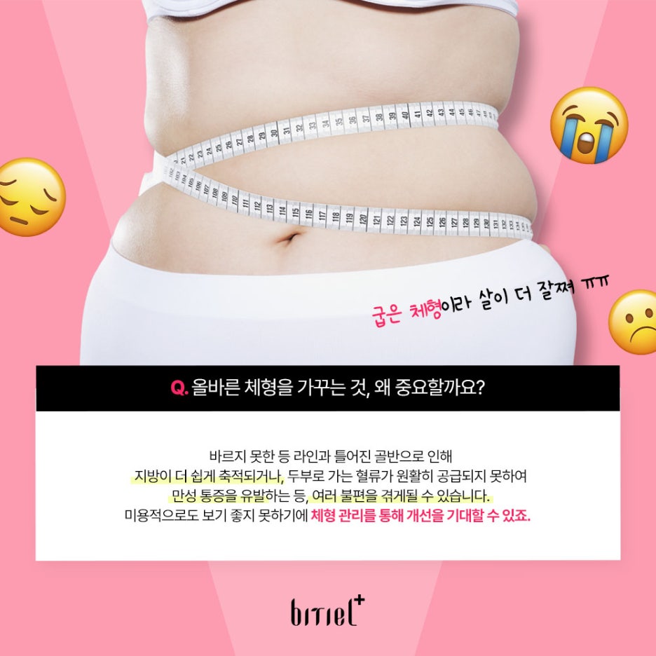 비티엘플러스 이미지