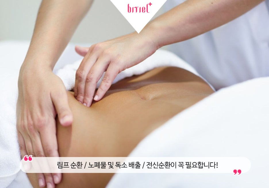 비티엘플러스 이미지