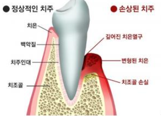 범석영치과 이미지
