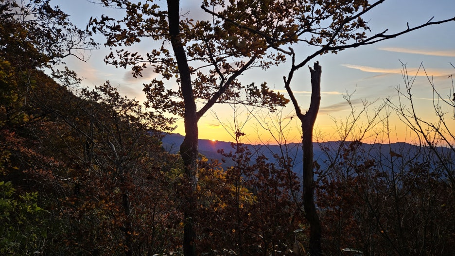 20231022_063934.jpg