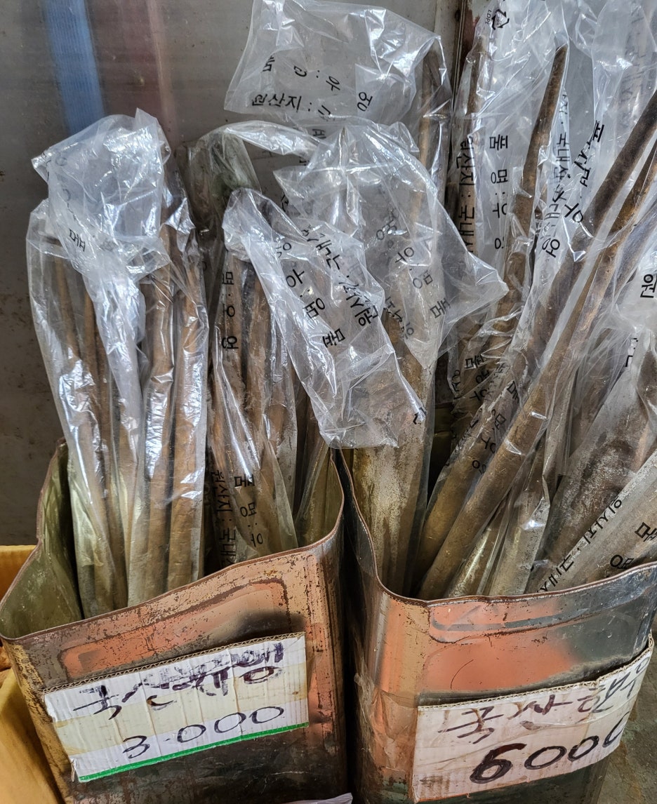 대일상회 이미지