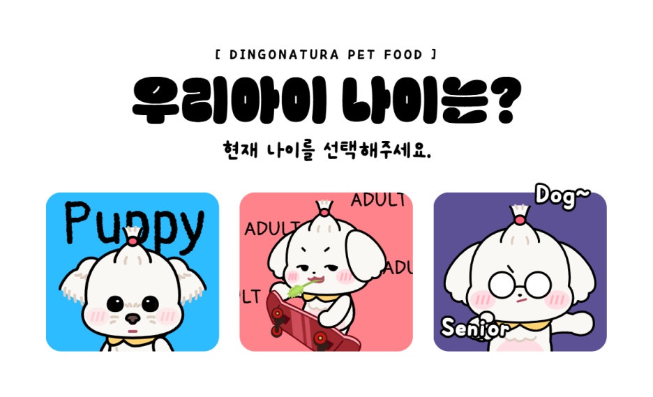 우리정보솔루션 이미지