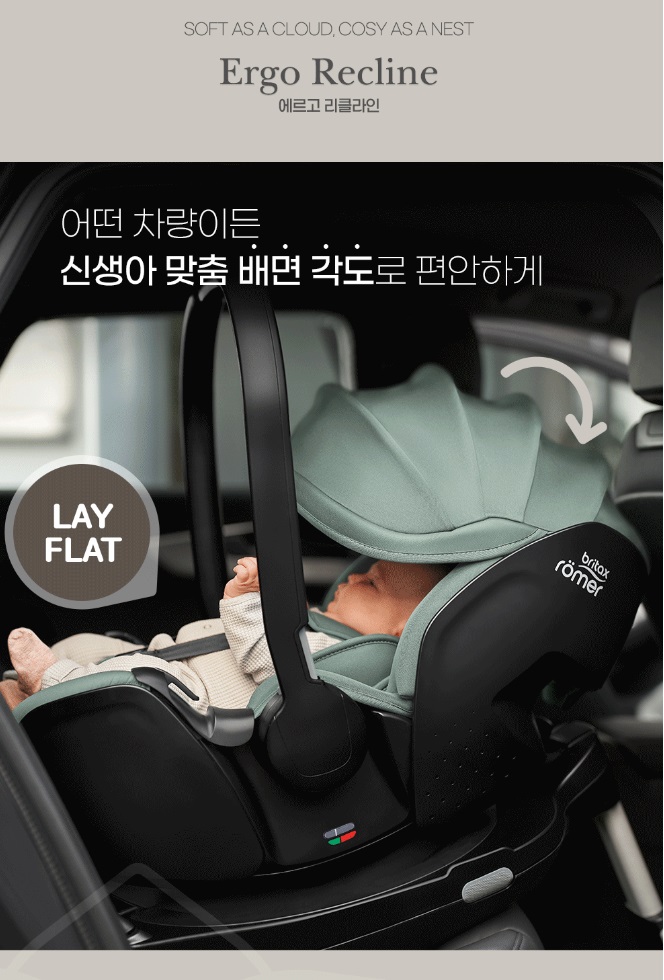 프로세이프 이미지