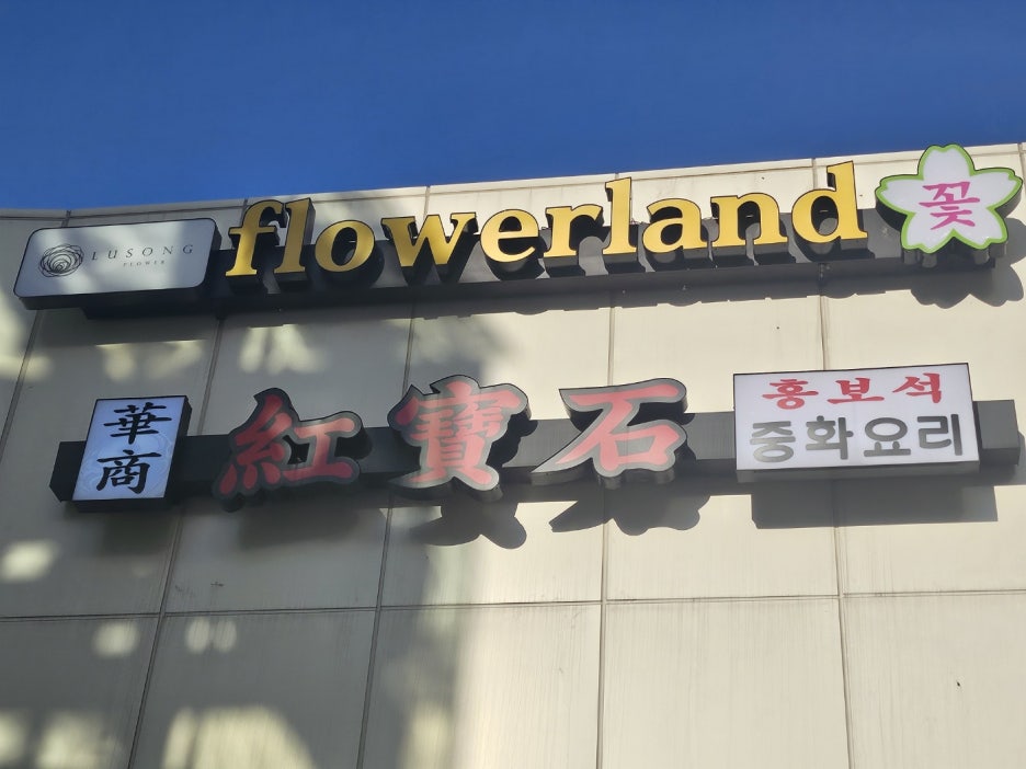 홍보석 이미지
