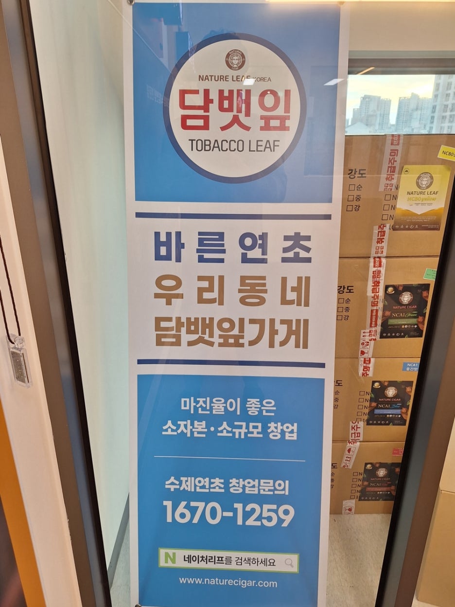 바른담뱃잎 이미지