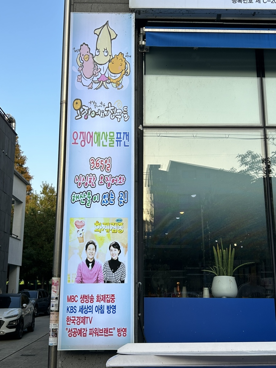 오징어와친구들 이미지