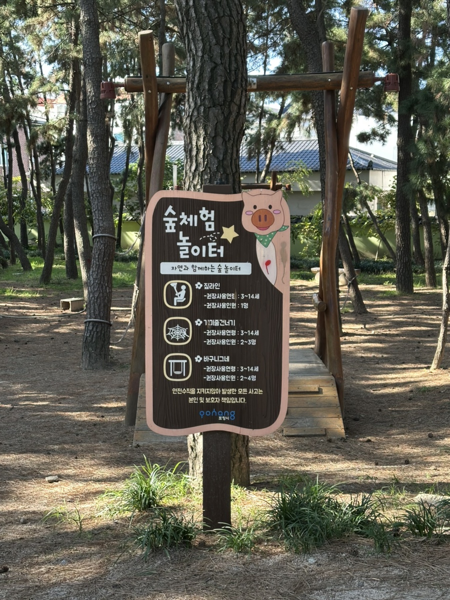 송도 솔밭 유아숲체험원 이미지