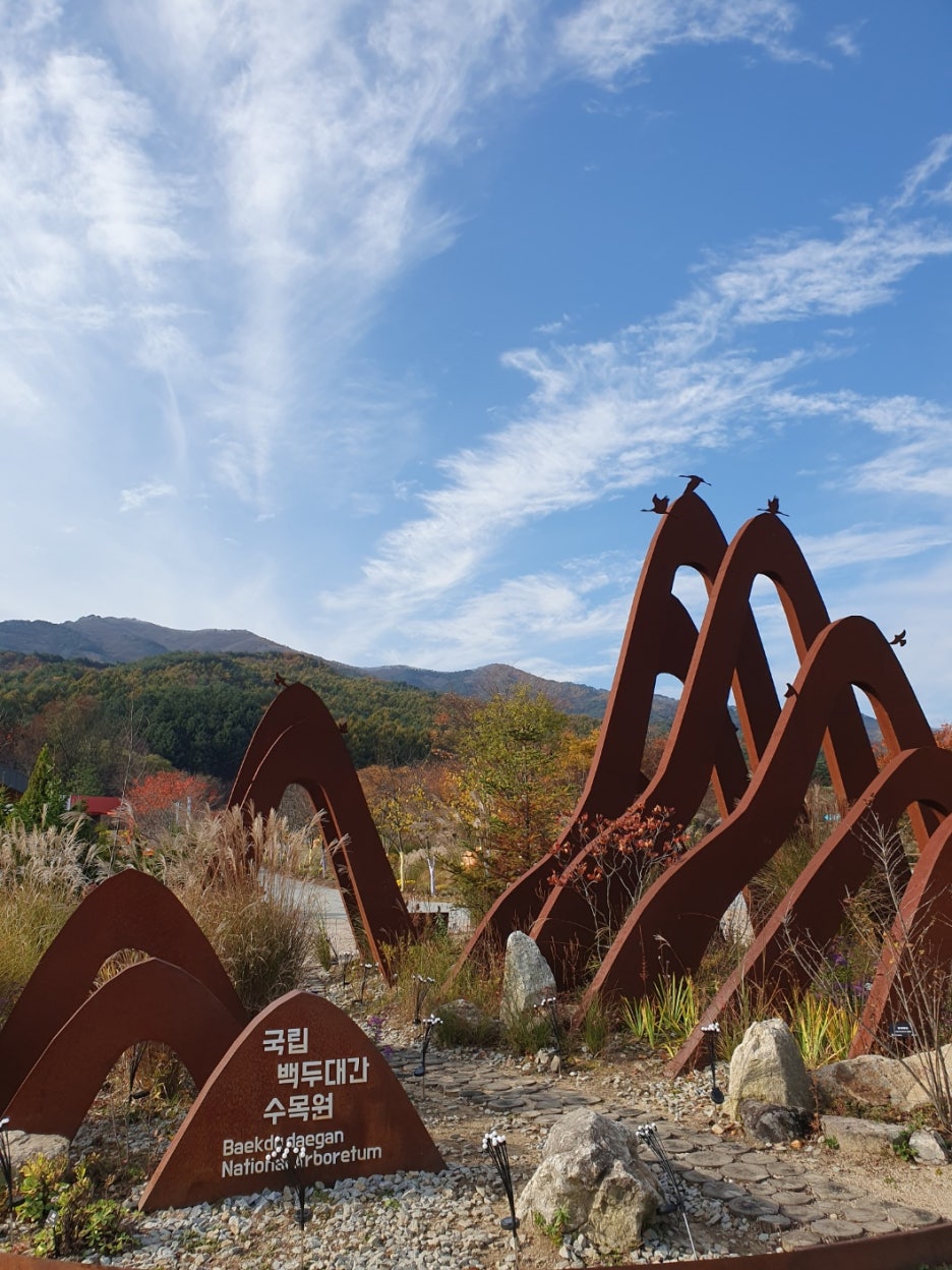 백두산야초 이미지