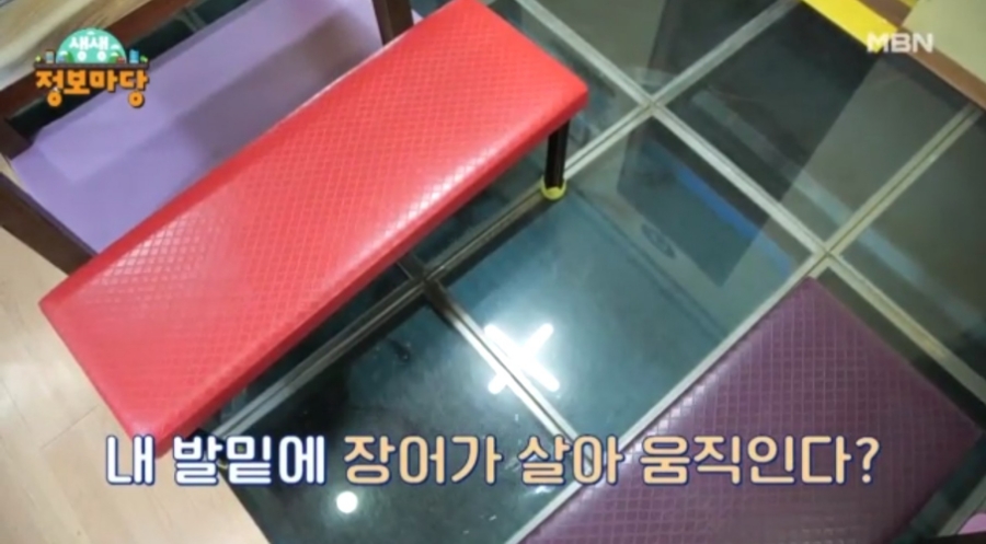 장어마당 이미지