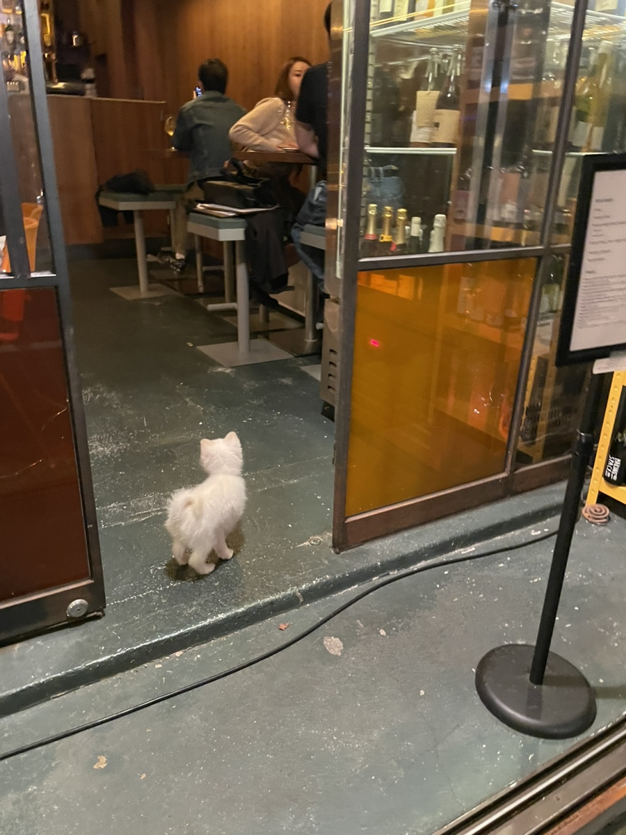 장살롱 이미지