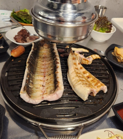 처음본명품민물장어 이미지