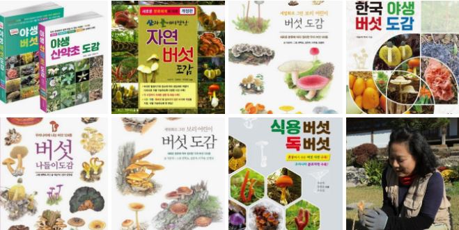 이화재 이미지
