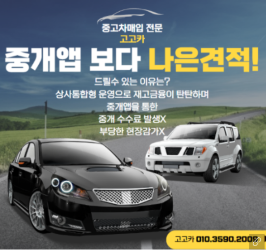 고고카 이미지