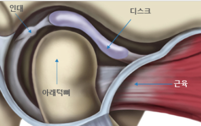 연세닥터홍치과교정과의원 이미지