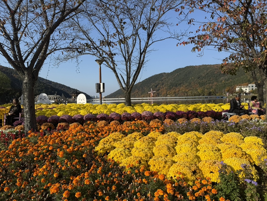 마루야(송해공원) 이미지