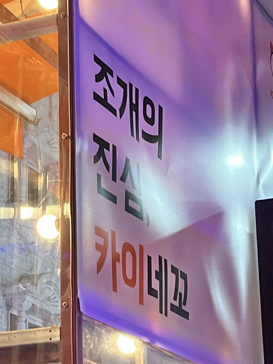 카이네꼬 사진 6