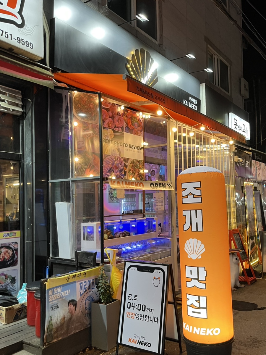 카이네꼬 사진 5