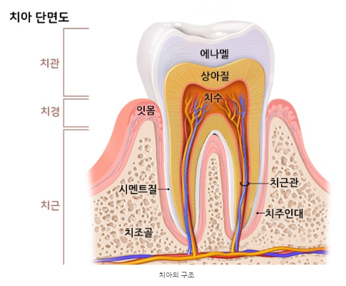 이안치과의원 이미지