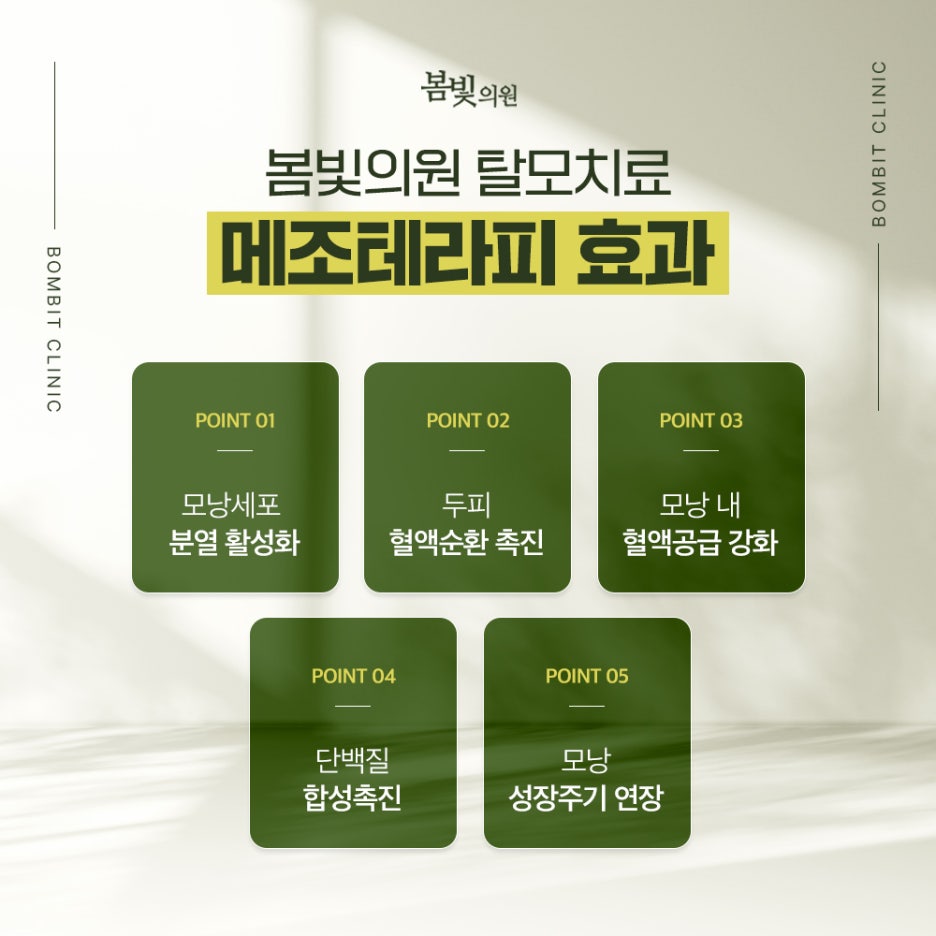 봄빛테라피 이미지