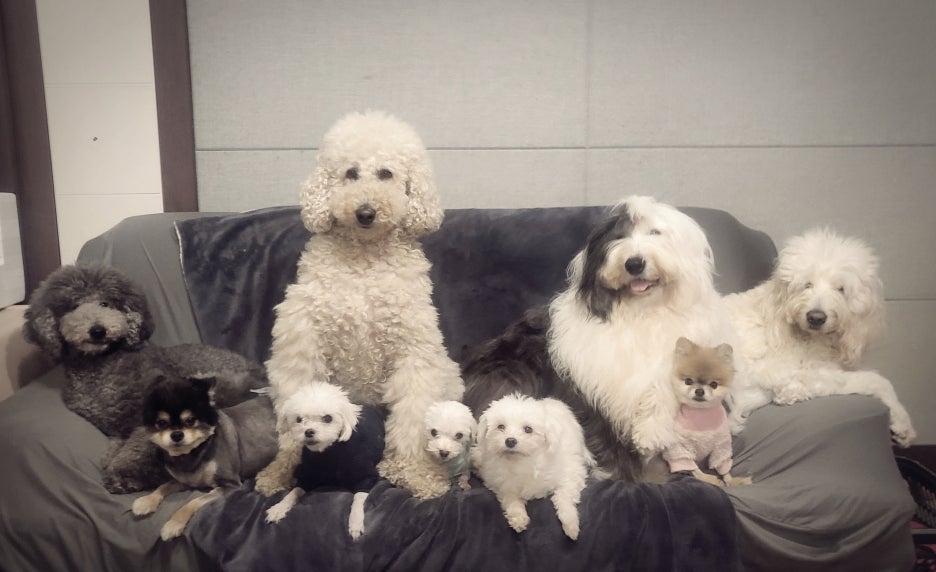 휴먼앤네이쳐 이미지