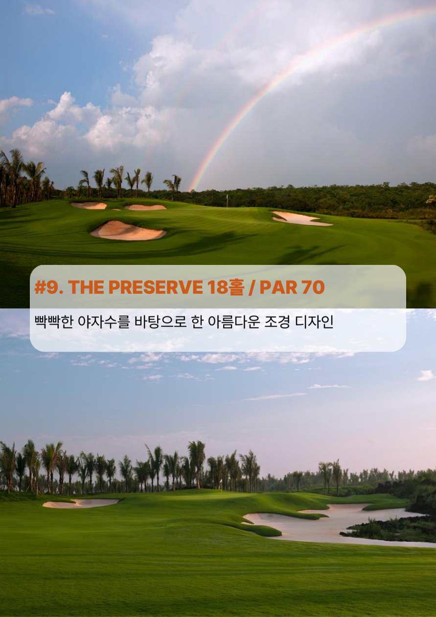 판다골프 이미지