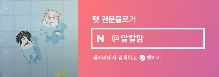 지엠트레이드 이미지