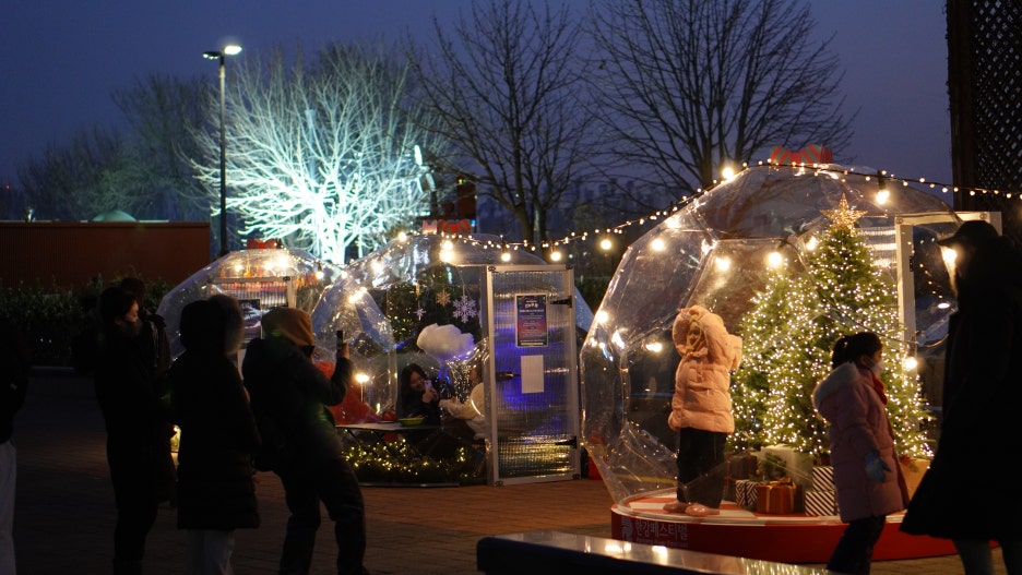 브로콜리 지역정보 관련 사진 6