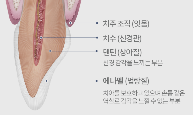 서울하이안치과 이미지