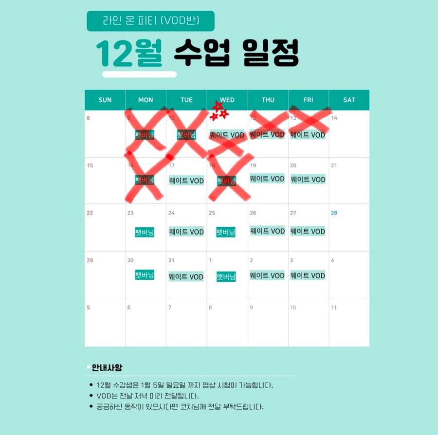 라인피티 이미지