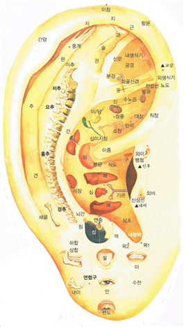 건강테라피 이미지