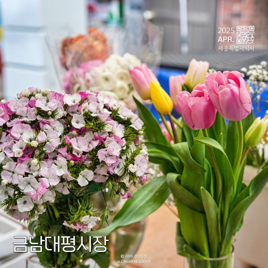 천주교대전교구청 이미지