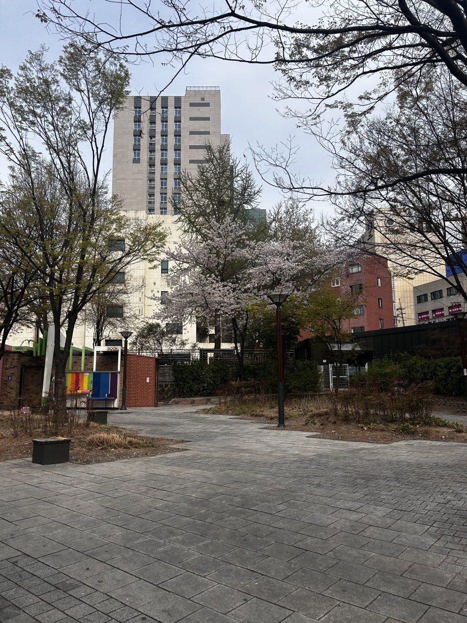 도와세움평생교육센터 이미지