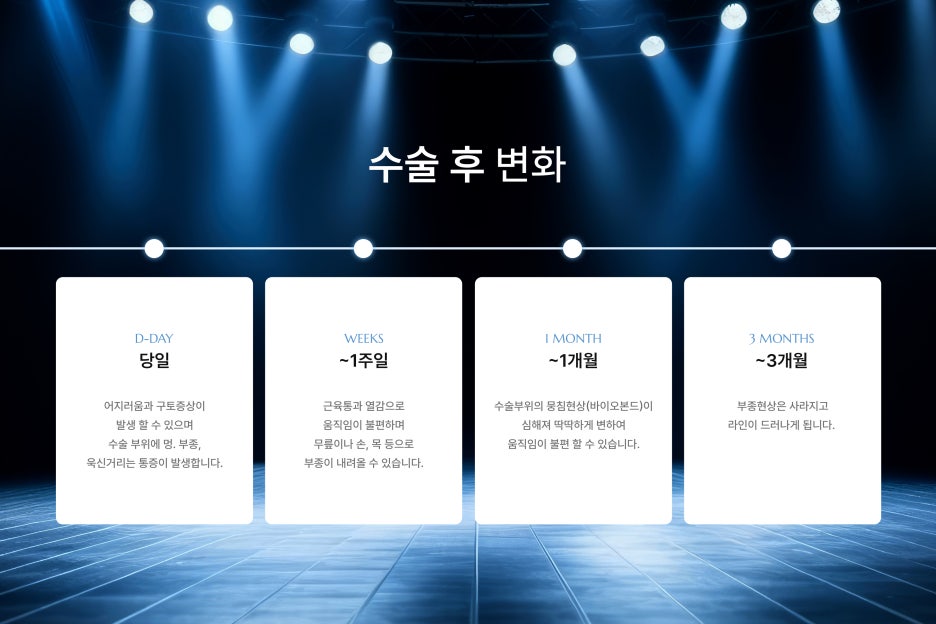 모델라인 이미지