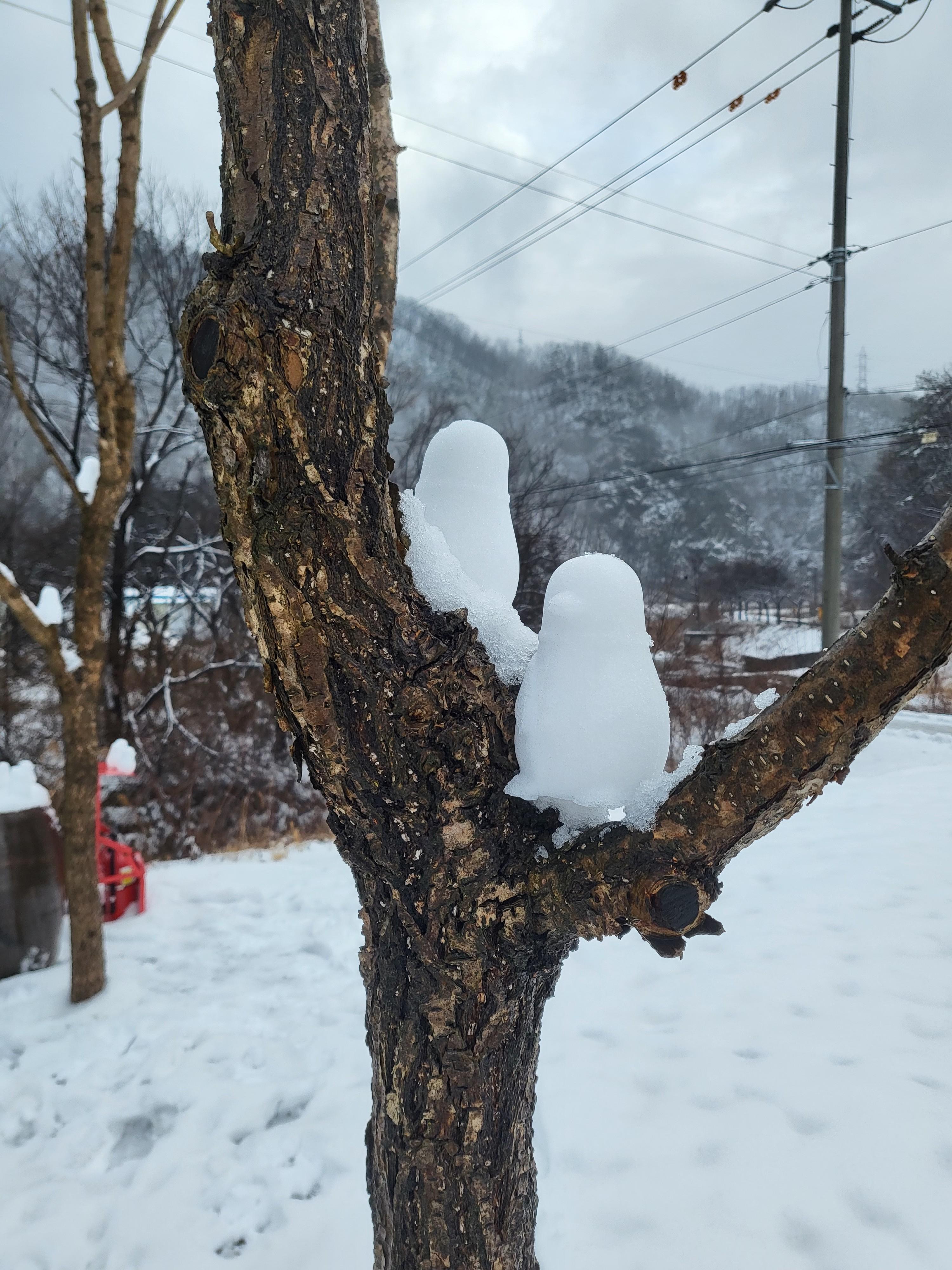 알지캠프266 이미지