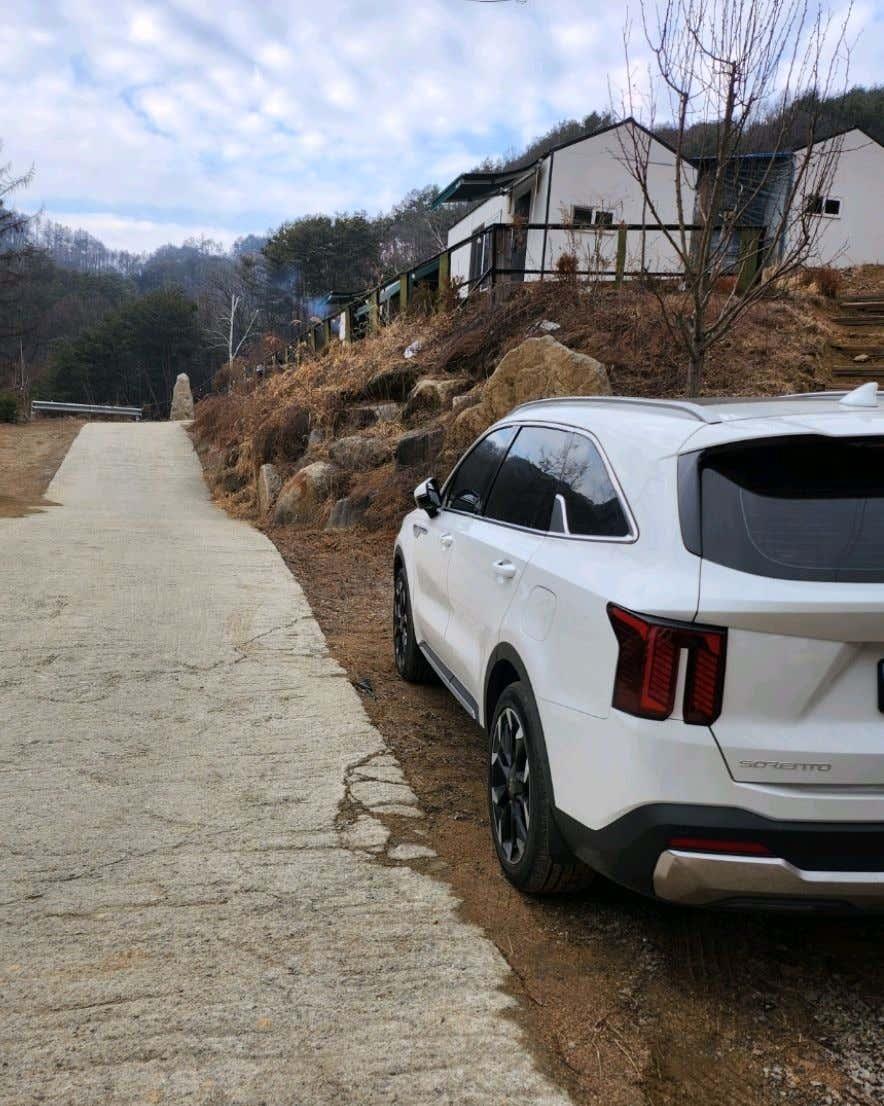 알지캠프266 이미지