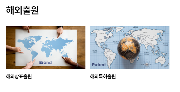 모아(Moa)인력 이미지