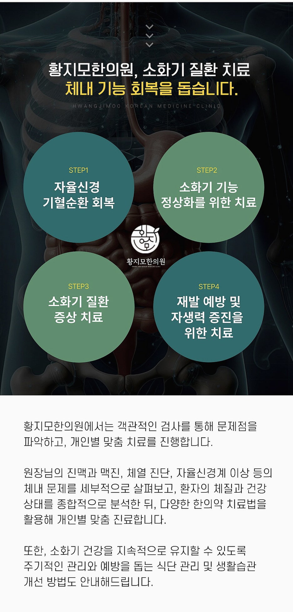 선천가설 이미지