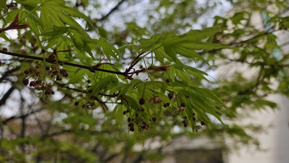 20250412_084010.jpg