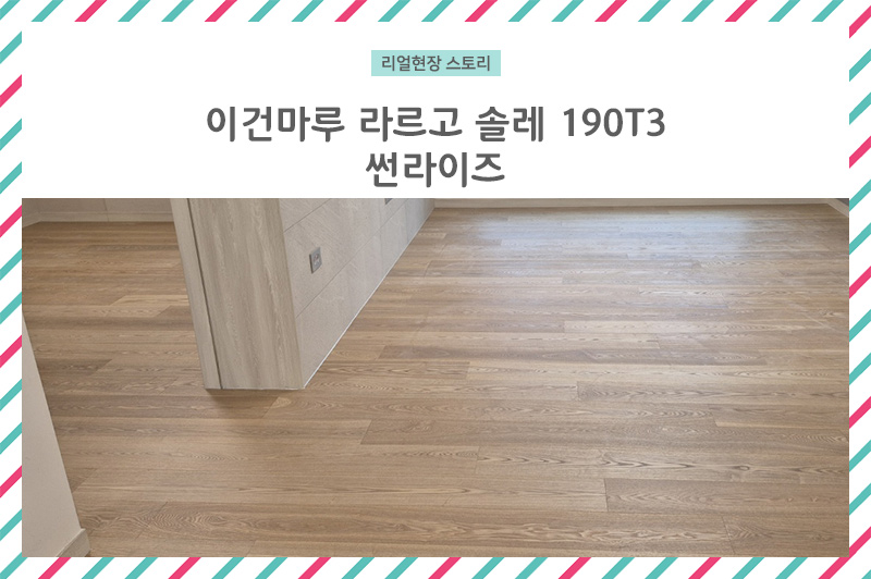 솔레 이미지