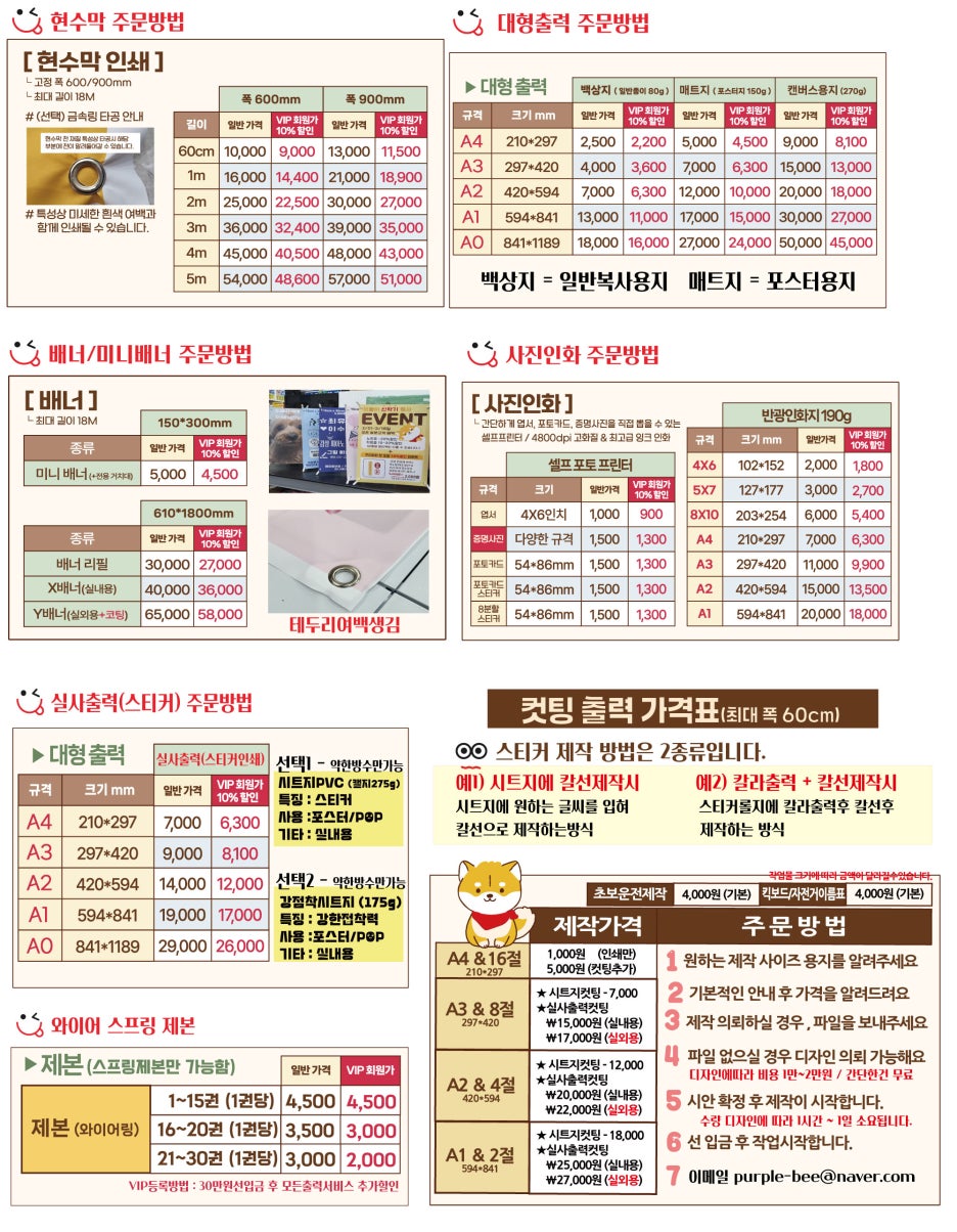 퍼플비 이미지
