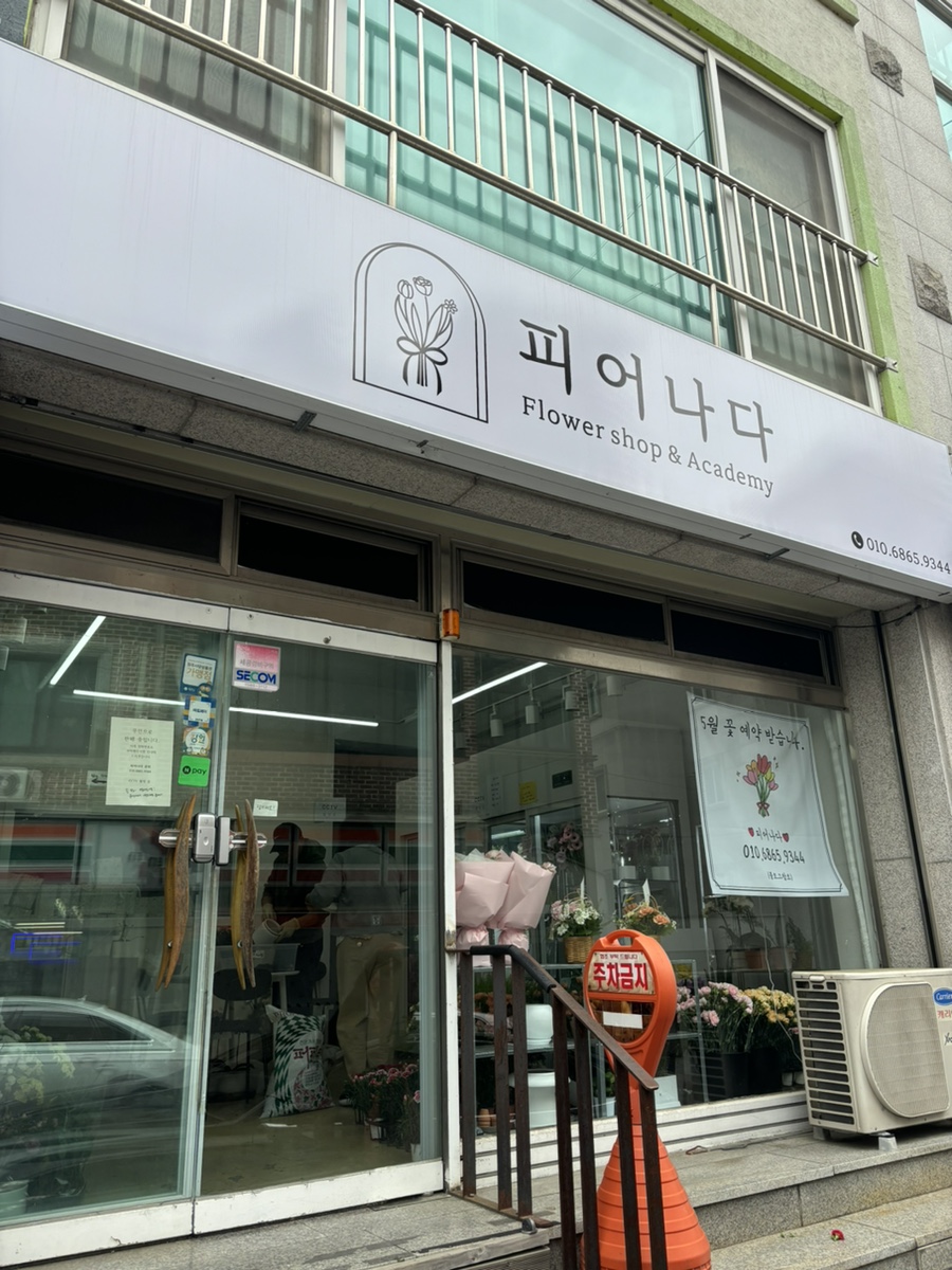 문피어나다 이미지