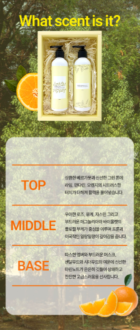바디S 이미지