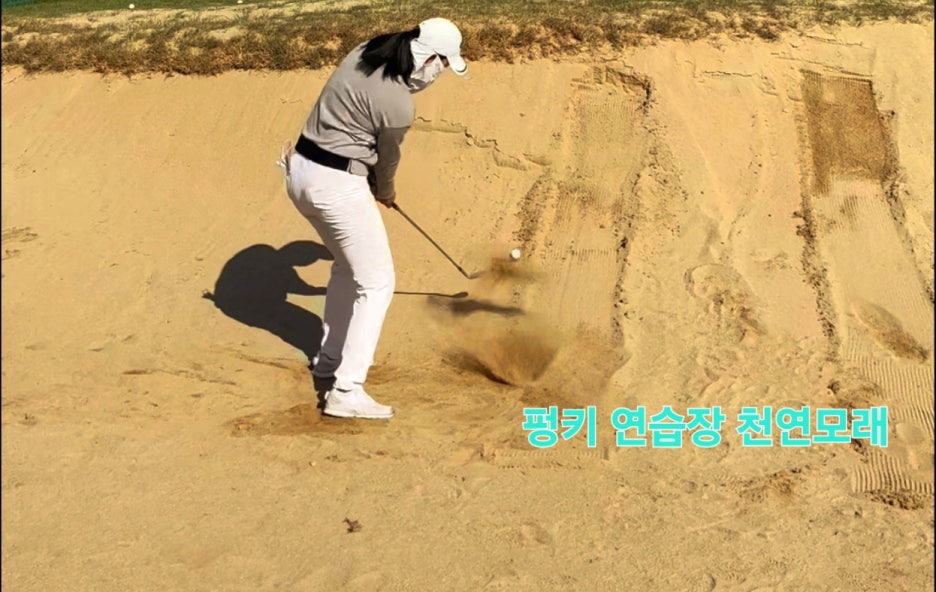 티지인투어 이미지
