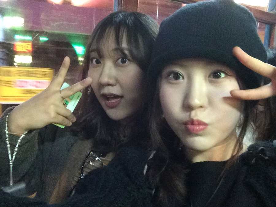 홍트래블주 이미지