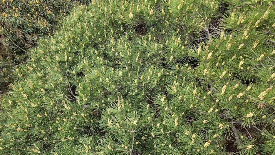 20250503_160249.jpg