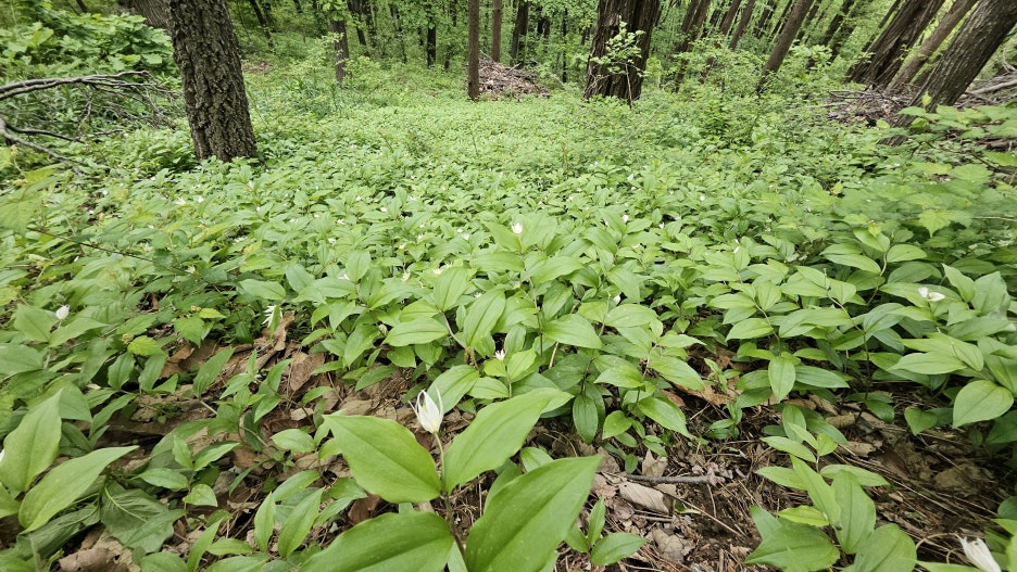 20250505_163228.jpg
